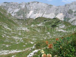 Durmitor, Šareni pasovi