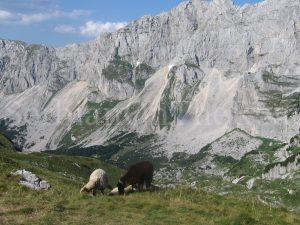 Durmitor, Šareni pasovi