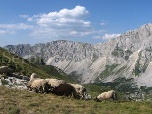 Durmitor, Šareni pasovi