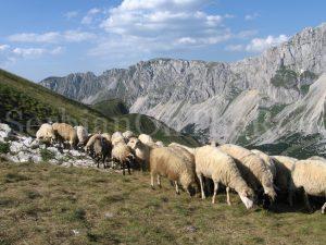 Durmitor, Šareni pasovi